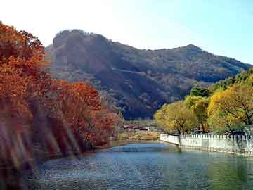 新澳天天开奖资料大全旅游团，甲醇